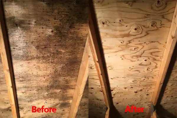 water damage restoration service Rocky Boy's Agency